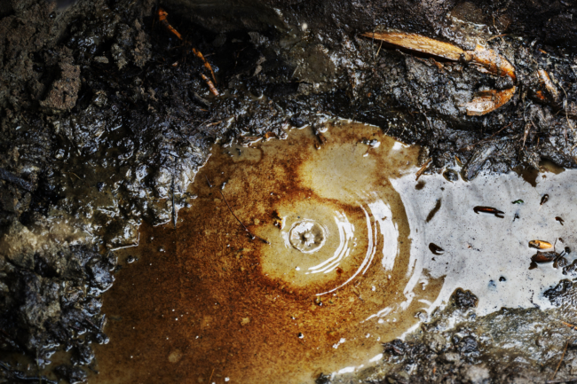 Shell Toxin UK Court case to rule on Shell’s toxic legacy in Nigeria - Amnesty ...